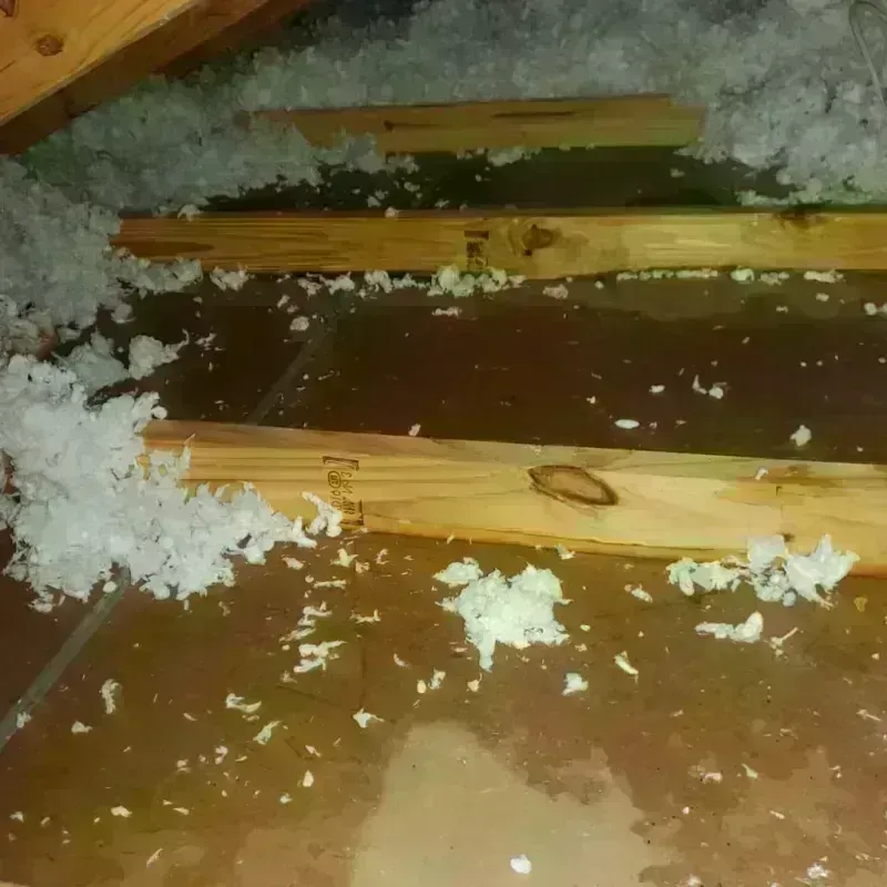 Attic Water Damage in Auburn, KS