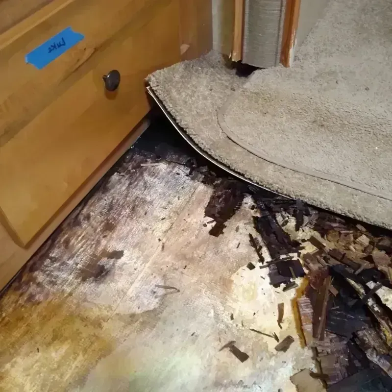 Wood Floor Water Damage in Auburn, KS